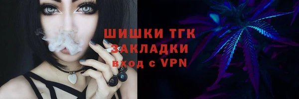 дживик Богородск
