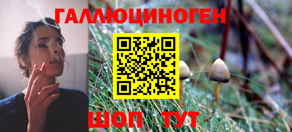 Псилоцибиновые грибы MAGIC MUSHROOMS Воткинск